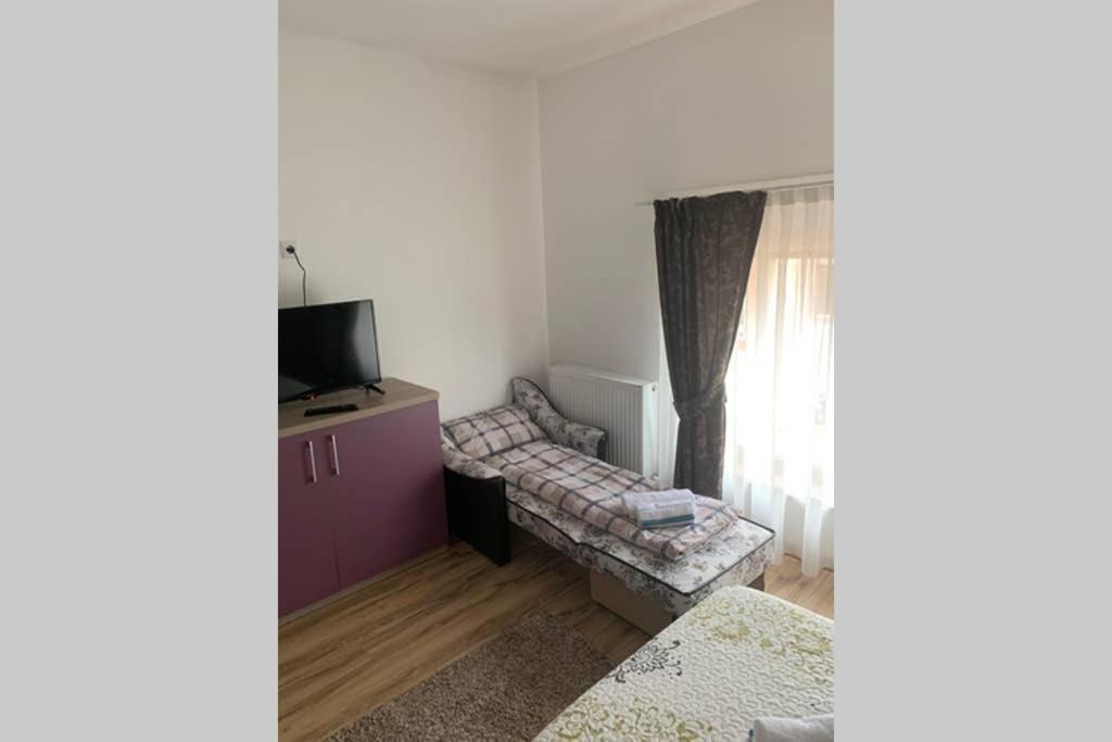 Dana Guest House Oradea Zewnętrze zdjęcie